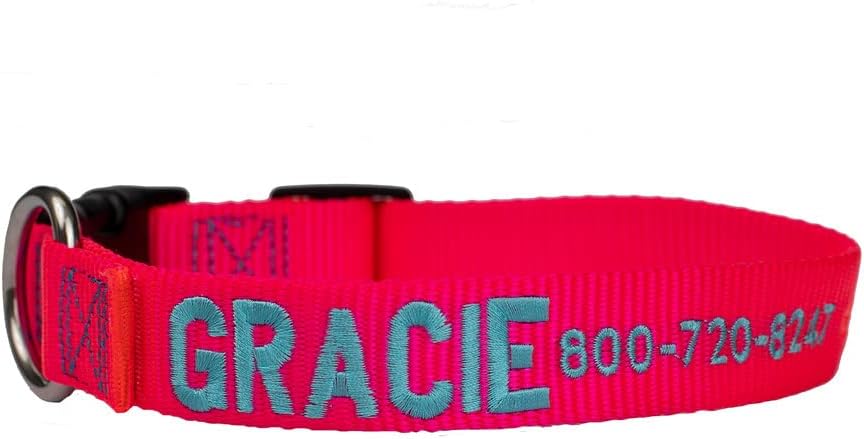 dogIDS Personalized Embroidered Hot Pink Nylon Dog Collar - 5/8 Inch Wide - Fits Neck Sizes of 8-10 Inches - Made in The USA