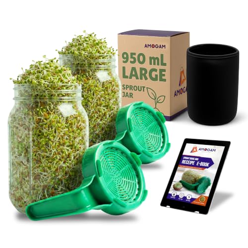 Image of Sprouts Maker Glass Jar - 950ml Large Sprouts Maker Jar for Home Use | BPA-Free Sprouting Jar with Drain Lid Handle | Reusable Glass Sprout Maker Jar for All Seeds and Beans (Green - 2pcs)