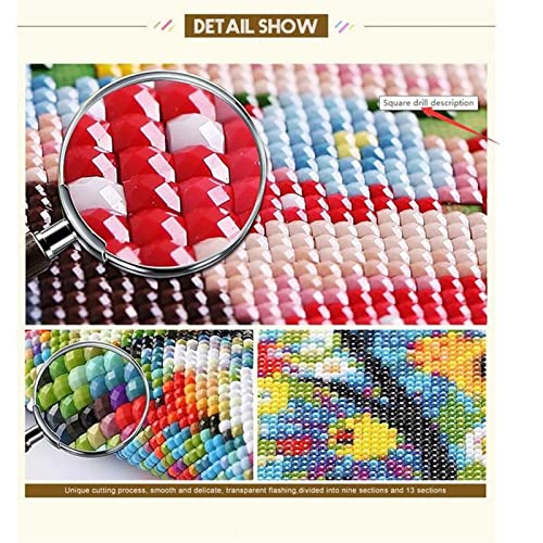 5D Diamond Painting Kit Completo Drill, Square