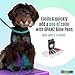 OPAWZ Blow Pen 10 Colors with Tattoo Stencil 12pcs Suit, Temporary Color Dog Hair Dye, Non-Toxic and Washable Pet Hair Dye, Semi Permanent Color Dye for Dogs and Cats Grooming