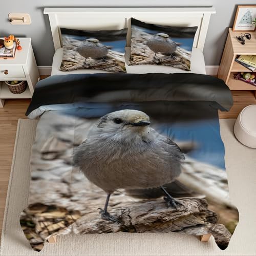 Housse couette en microfibre douce 200x200 avec zip motif oiseau mésange - 4