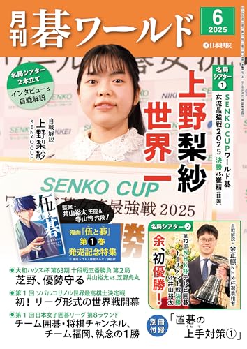 日本棋院　ゴ・スーパーブックス　44冊セット　★ 日本棋院 ゴ・スーパーブックス 44冊セット ☆ 日本棋院 ゴ