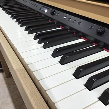 Amazon | Roland HP702 LAS電子ピアノ 88鍵盤 ローランド | 電子ピアノ