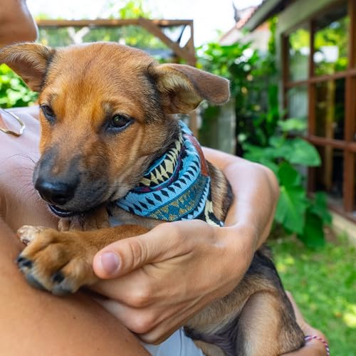 Made by Nami Boho Hundehalstuch in verschiedenen Größen für kleine und große Hunde (Blau, M)