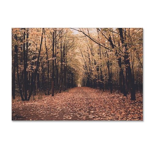 Impression sur toile forêt haute définition pour une décoration murale chic
