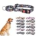 Martingale Collar for Dogs - Dog Training Collar Big, Wide & Thick Dog Collar - Escape-Proof, Weatherproof, Durable and Comfortable Floral for Small Medium Large Dog Collar S