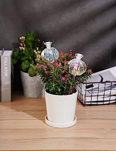 Globe d'irrigation en verre en forme de cactus irisé NiHome