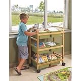 Copernicus BB007-6-S Small Bamboo Book Browser Cart with Sage Tubs