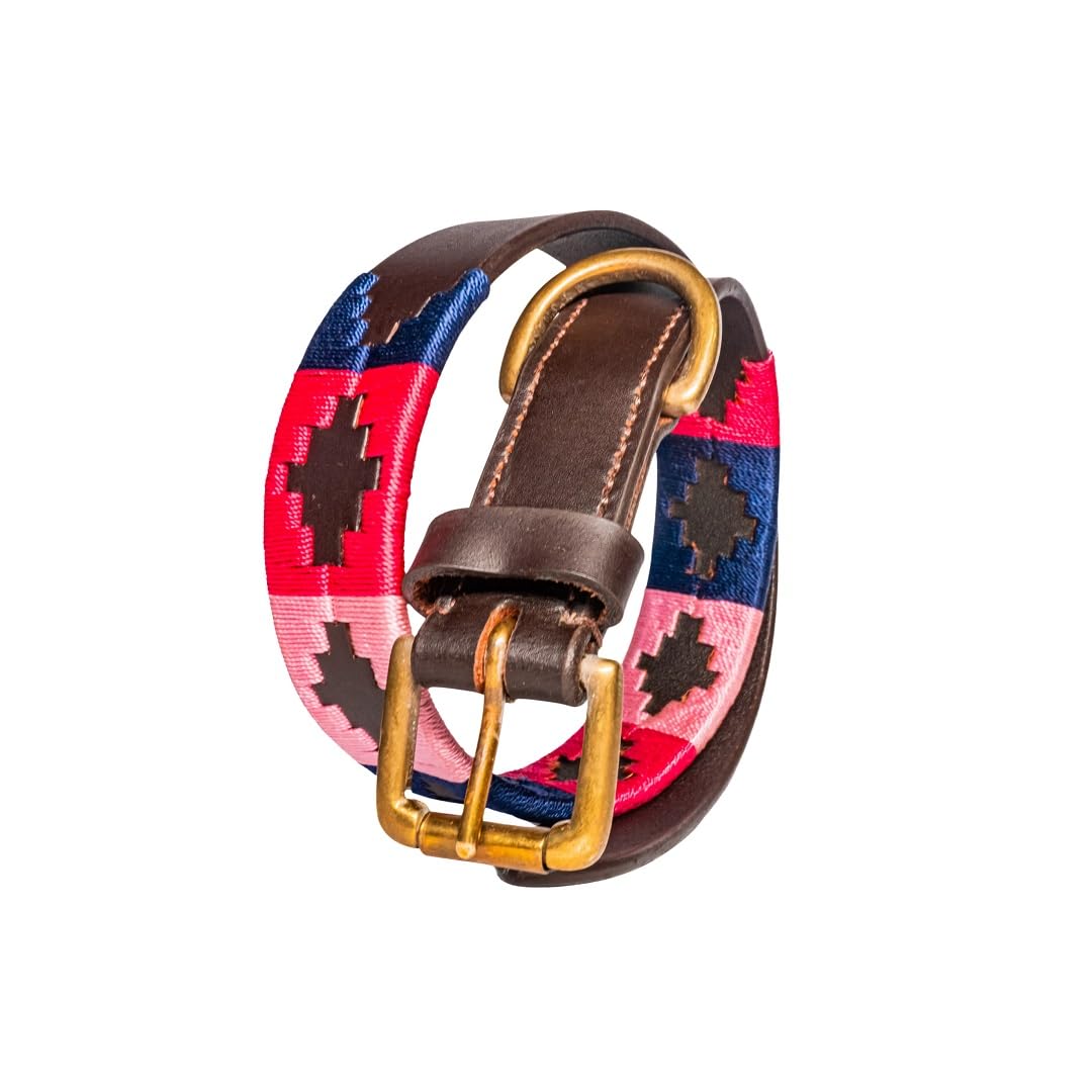 Vaibhavi Genuine Leather Polo Dog Collar with Metal Buckle Waxed Embroidered Soft and Durable Leather Collars Adjustable for Large Dogs (Blue and Pink, Small) — image 1