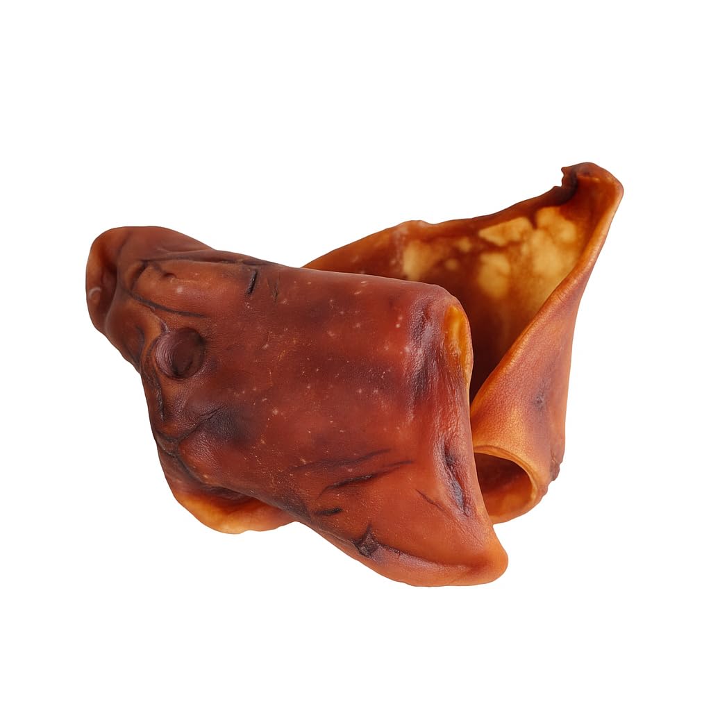 Bogar - Simply Wild - Friandises pour Chien - Nourriture pour Chiens en Complément de l'Alimentation Habituelle - Friandise sous forme d'Oreilles de Porc - 100% Porc Séché - Aide à la Mastication - 2x