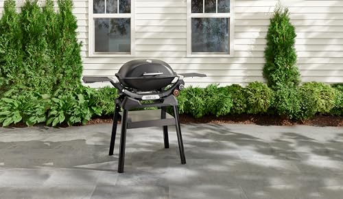 Weber Kompakter Ständer, kompatibel mit Allen Weber Q Modellen, Leichter Grillständer mit Ablageregal, werkzeuglose Montage - Schwarz (3400855)