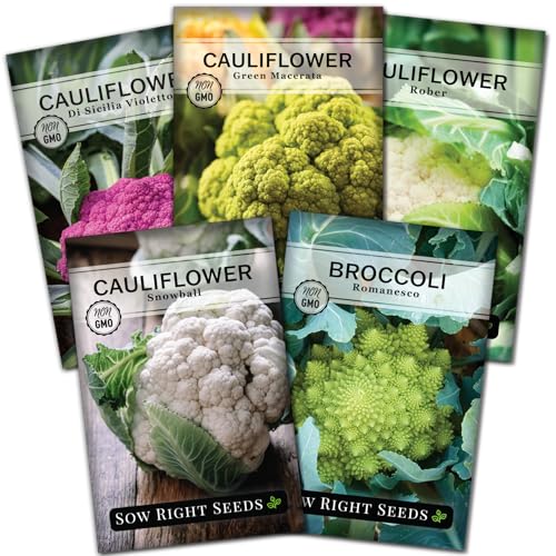 Sow Right Seeds - Cauliflower Collection Seeds for Planting - Includes Non-GMO Heirloom Colorful Cauliflower & Romanesco Broccoli - High Yield & Easy to Grow - Ideal for Veggie Gardens - Home Harvest