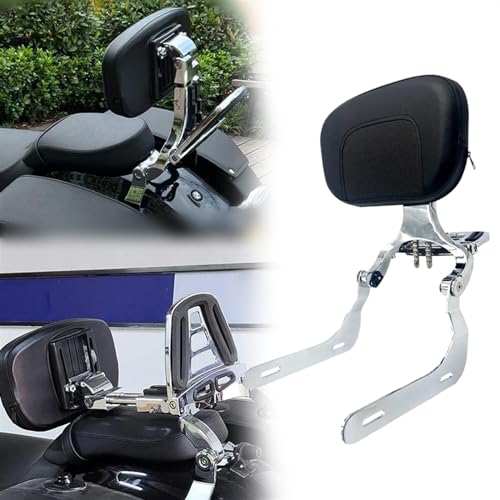 Barre Sissy et porte-bagages moto pour BMW R18 100 Ans