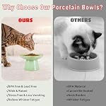 Wide Shallow 6.1" Raised Cat Bowls, Ceramic Elevated Food Bowl for Flat Faced Cats and Small Dogs, Porcelain Feeder Bowl, Stress Free, Protect Cat’s Spine, Green - Image 6