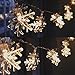 Islmlisa 19ft /40LED Snowflake String Light String Outdoor Waterproof House Decorative Light String Interior Decoration,Decorative Snowflake Lights for Christmas, Party (White)