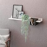 Fake Hanging Plant Eucalyptus Artificial Faux Plants Indoor Small Wall Greenery Decor for Floating Shelf Soft Green 2PCS 23Inch Long