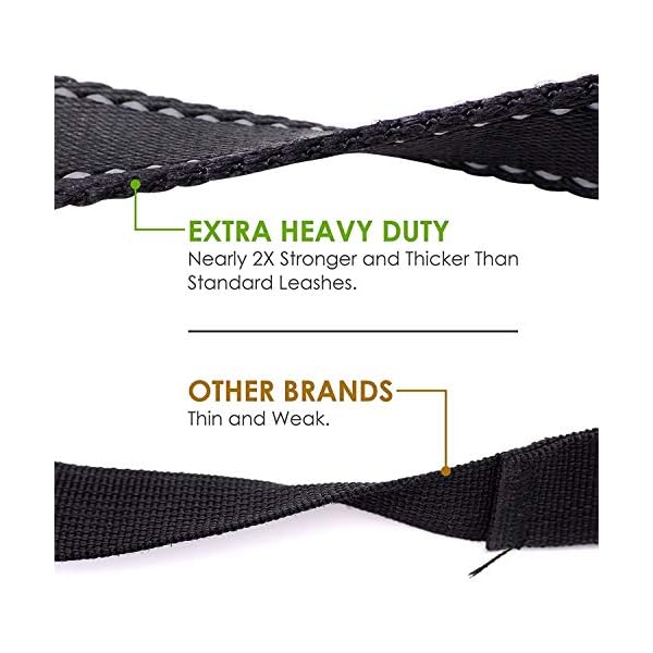Tminnov Heavy Duty Dog Leash 5 ft Long -with 2 Padded Handles -Double Handles Lead for Control Safety -Training Walking Leashes for Medium Large Dogs (Green) Tminnov Heavy Duty Dog Leash 5 ft Long -with 2 Padded Handles -Double Handles Lead for Control Safety -Training Walking Leashes for Medium Large Dogs (Green)
