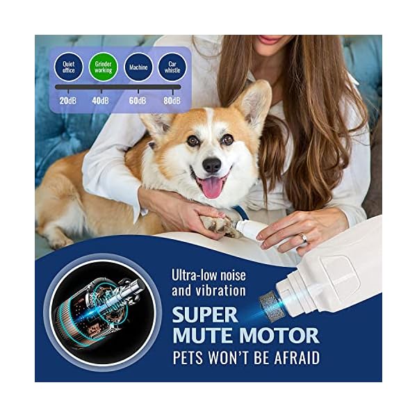 Rexipets cat and dog nail grinder - rechargeable electric pet nail clipper & trimmer- painless paws grooming - quiet 2-speed motor. 3 size ports for small, medium, large pets- up to 4 hours of charge - image 6
