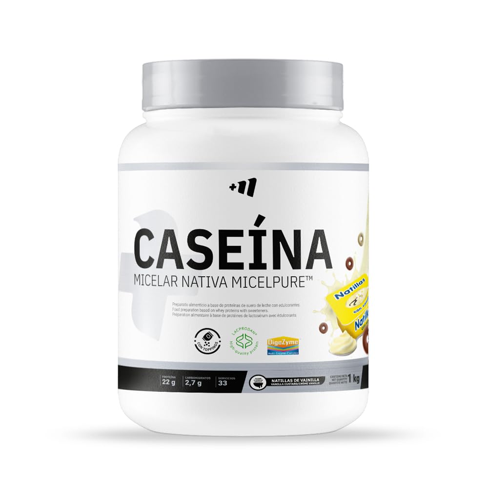 Masmusculo - Caséine Micellaire 1 kg - Protéine de Caséine - Masse Musculaire - Libération Prolongée d’Acides Aminés - Récupération Post-Entraînement - Goût Custard