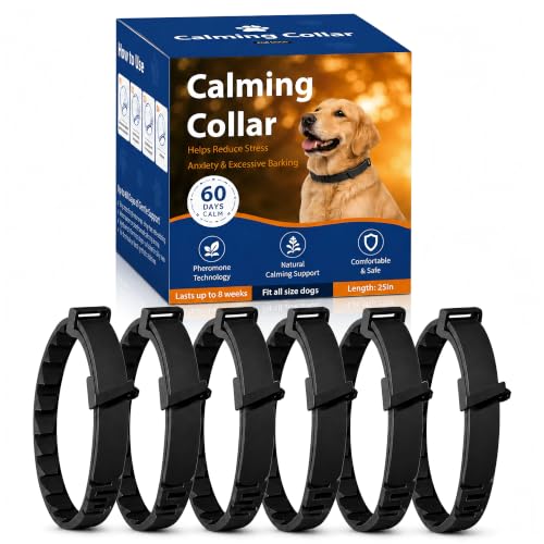 Best Calming Collars for Hyperactive Border Collies