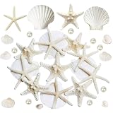 JQAQJU 16PCS Starfish and Scallop Shells for Crafts 3'-4' with Pearls, Natural Sea Shells for Crafting Beach Party Christmas Decor DIY