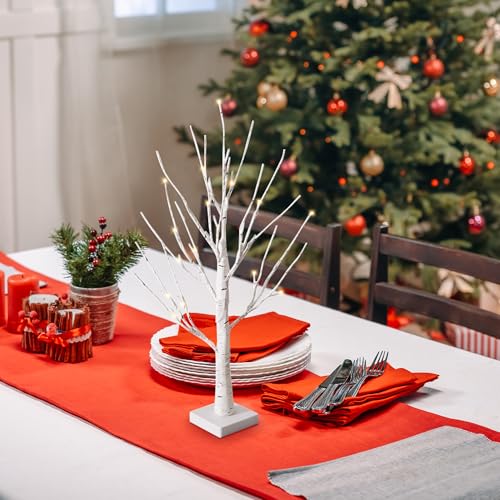 CATCHLUCK Lichterbaum Led WarmWeiß Innen Lichterzweige 2er Set für 24 Warmweiß LED Bäumchen Birken Dekozweige Batteriebetrieb Weihnachtsdeko für Zuhause Party Geburtstag Hochzeit Innendekoration