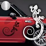 aufkleber tribal motorrad UV-Beständig - absolut Wetter- & Witterungsfest - Waschanlagenfest ist unser Aufkleber in vielen bunten Farben wie schwarz, weiß, rot, grün, gelb, silber usw. zu kaufen