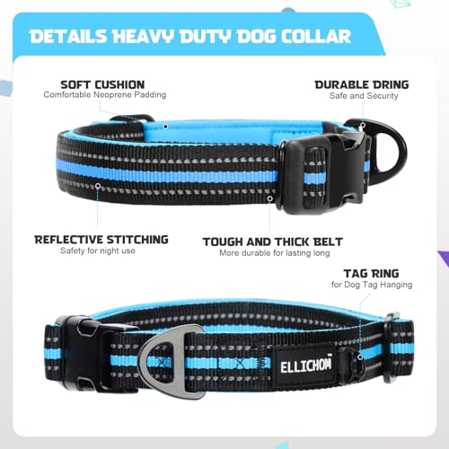 Collar Reflectante para Perro Azul Talla L miniatura 2