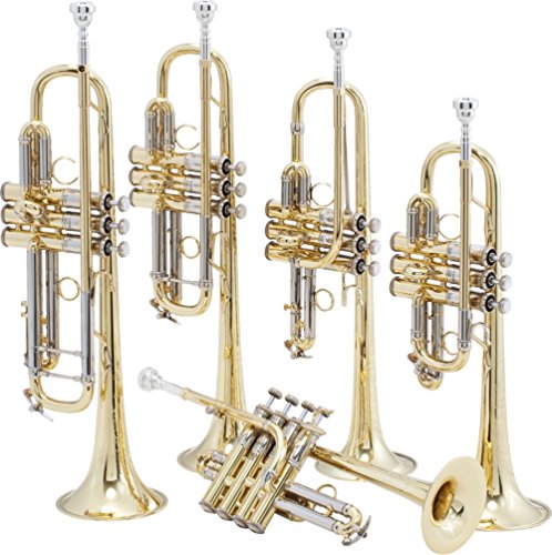 Bach Ade190 Stradivarius Artisan Series Eb/D Trumpet Ade190S Silver #TOP3
