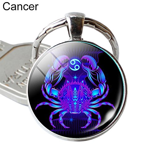 Preisvergleich Produktbild little finger 12 Constellation Sternzeichen Rund Glas Anhänger Schlüssel Ring Halter Schlüsselanhänger Geschenk