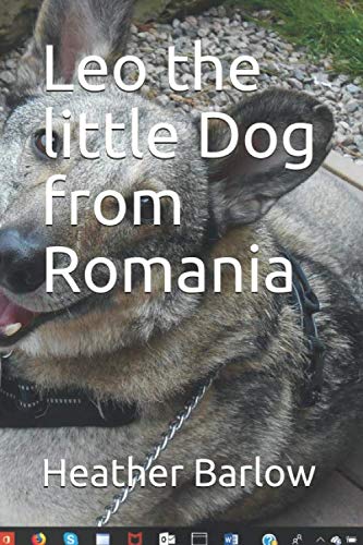 Leo the little Dog from Romania