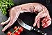 Dalstrong Skinning & Boning Knife - 5.5 inch - Gladiator Series Elite - Forged High-Carbon German Steel - G10 Handle - w/Sheath - Meat Cutting, Carving, Bone, Trimming, Deboning - NSF Certified