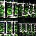 Lichterschlauch Aussen 23m, 200 LEDs Lichtschlauch Außen Innen mit Fernbedienung, 8 Modi IP65 Wasserfest Lichtschläuche Leuchtschlauch Led Schlauch für Weihnachten Garten Party Hochzeit Weiß