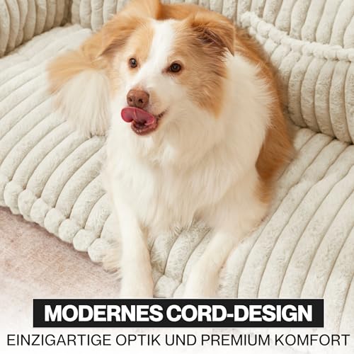 noviclass® Hundesofa Chaffar Hundebett | Orthopädische Matratze | Moderner Stil | Cord-Design Größen (Creme, XXL (140cm))