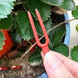 Axorafow Frutti – Gadget per piantare piante da giardino, design ergonomico, in plastica, 100 pezzi, fragola con raccolta e set di sacchetti, per costruzione delicata, rosso e bianco – per avviare la