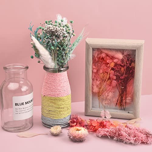 Pinsheng 3 Scatole Fiori Secchi Naturali, Multipli...