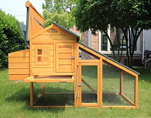 Pets Imperial® Warwick Hühnerstall mit Auslauf - Hühnerstall aus Holz mit Nistkasten und ausziehbarem Tablett - 175 cm… – Bild 8