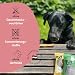 Beruhigungsmittel für Hunde – Hanfred SOS Stangerl mit Pferdefleisch, Anti-Stress Snacks bei Angst & Nervosität – natürliche Hilfe bei Silvester, Autofahren – sofortwirkung & für Allergiker (3 x 65g)