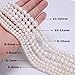 AD Beads Natural Freshwater White Pearl Round Beads 15