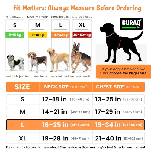 Image of Buraq Pets No Pull Dog Harness | Soft Padded for Small to Large Dogs