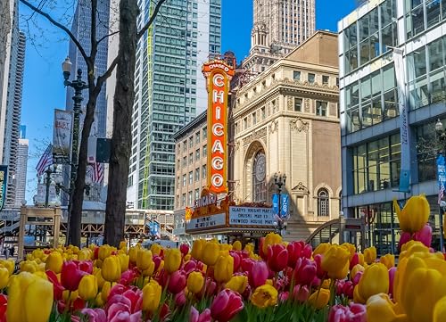 Chicago Puzzle, Jigsaw Puzzle 1000 Pieces, Spring Tulips Chicago Theatre
