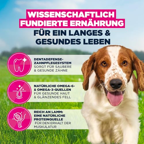 Eukanuba Hundefutter, Lachs & Gerste für kl. & mittelgroße Rassen, 12kg – Ansicht 5