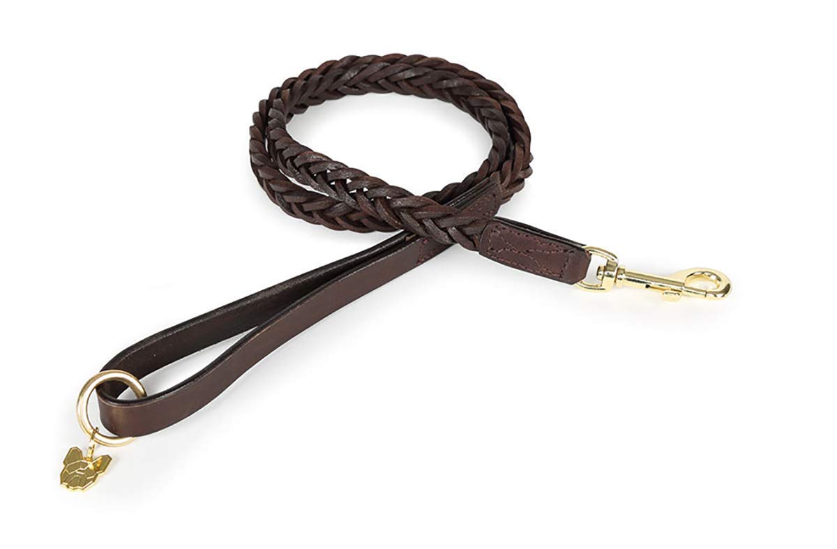 Shires Digby and Fox Plaited Dog Lead - Brown
