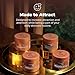 Crowned Skin King Cologned Body Butter | Warm and Sensual Scent | Blended with Sandalwood & Leather | Infused with Organic Shea & Mango Butters | Moisturizing Formula with All-Day Fragrance | 5oz