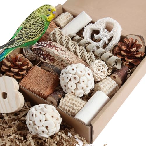 Kyouki Bird Toys Parrot Toys Natural Bird Foraging Box Foot for P...