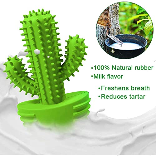 Image of Pamlulu Dog Chew Toys, Toothbrush Stick Teeth Cleaning Brush Dental for Small Medium Large Dog, Rubber Squeaky Toys for Aggressive Chewers Cactus Tough Toys