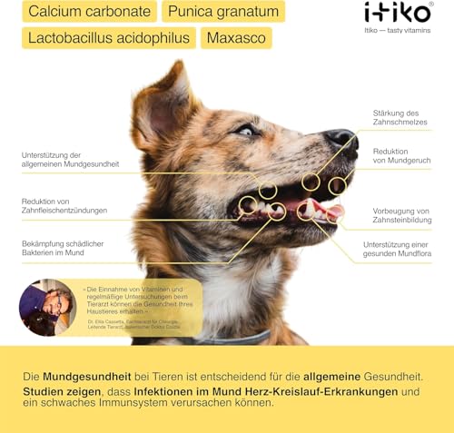 ITIKO | Natürliche Zahnpflege für Hund | Effektive Lösung zur Mundgeruch bei Hund | Zahnreinigung Hund | Alternative zu Zahnsteinspray oder Dentalspray für Hunde