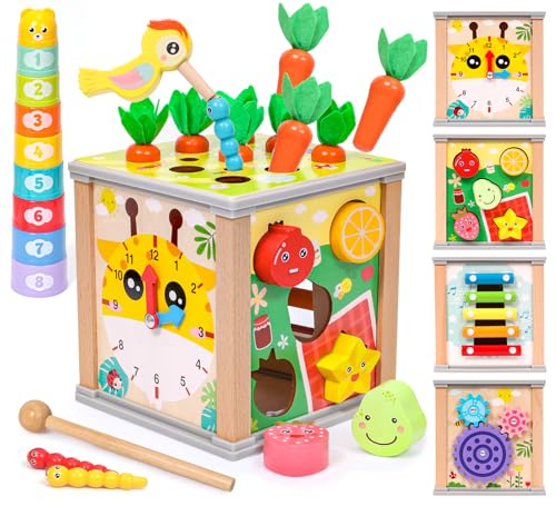 Fajiabao Giochi Bambini 1 Anno - Multiattivita Legno 5 in 1 Giochi