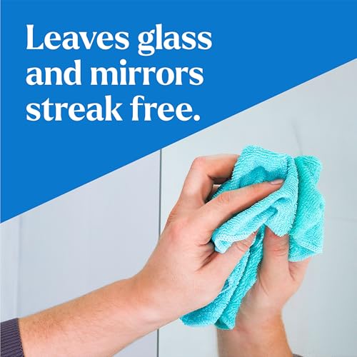 Image of CloroxPro Clorox EcoClean Glass Cleaner Spray Bottle, 32 Fluid Ounces