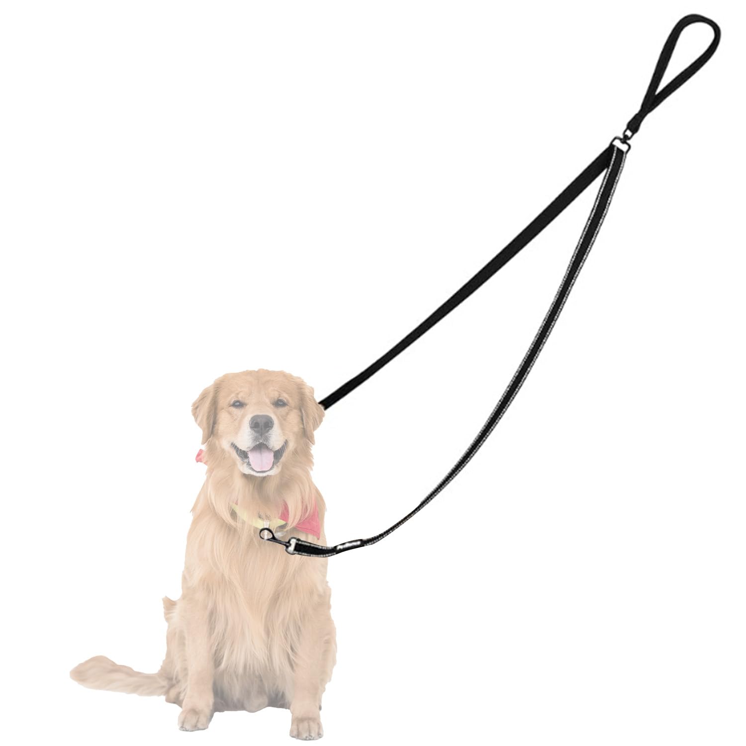 Two Point Control Dog Leash, Double Ended Lead for Dogs Nylon Single Lead